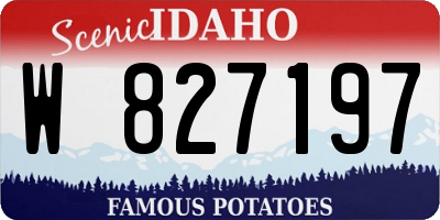 ID license plate W827197