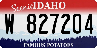 ID license plate W827204