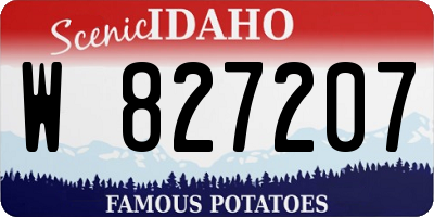 ID license plate W827207