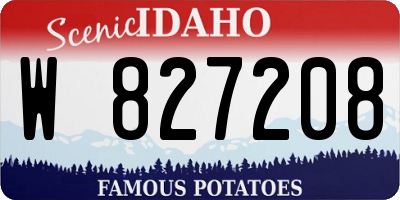 ID license plate W827208