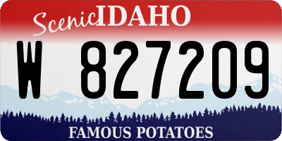 ID license plate W827209