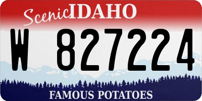 ID license plate W827224