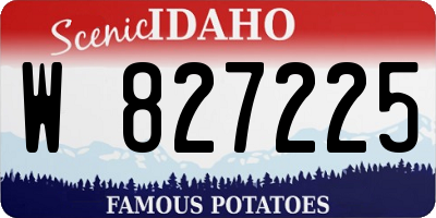 ID license plate W827225