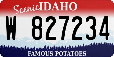 ID license plate W827234