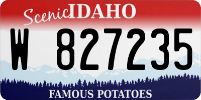 ID license plate W827235