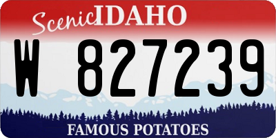 ID license plate W827239