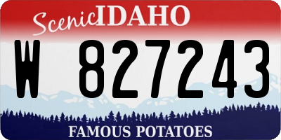 ID license plate W827243