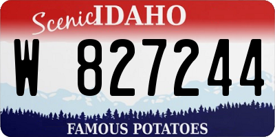 ID license plate W827244