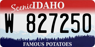ID license plate W827250