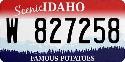 ID license plate W827258