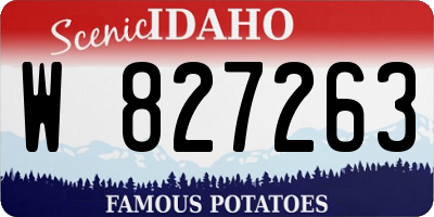 ID license plate W827263