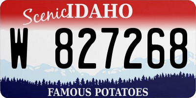 ID license plate W827268