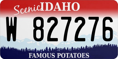 ID license plate W827276