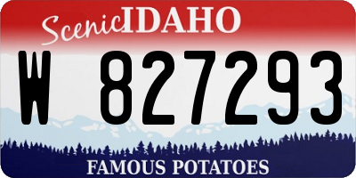 ID license plate W827293
