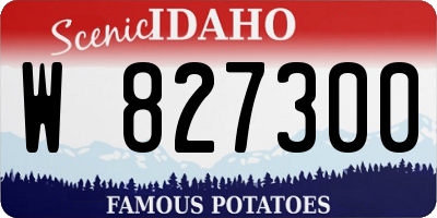 ID license plate W827300