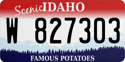 ID license plate W827303
