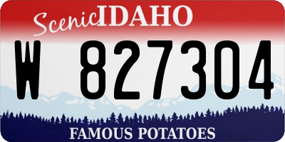 ID license plate W827304