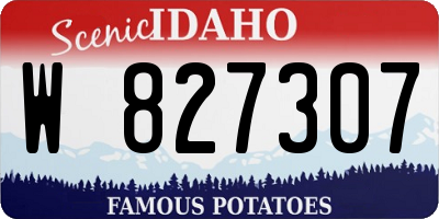 ID license plate W827307