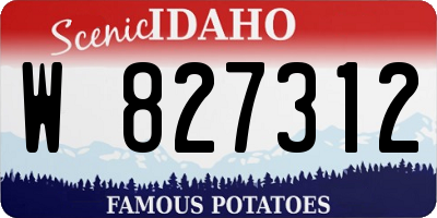 ID license plate W827312