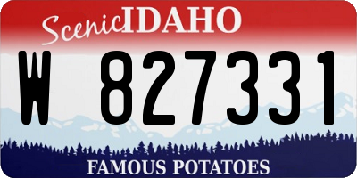 ID license plate W827331