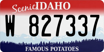 ID license plate W827337
