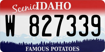 ID license plate W827339