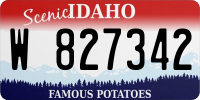 ID license plate W827342
