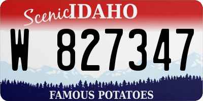ID license plate W827347