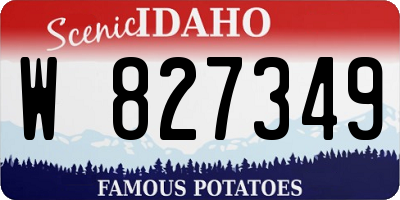 ID license plate W827349