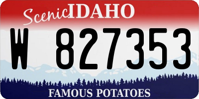 ID license plate W827353