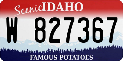 ID license plate W827367