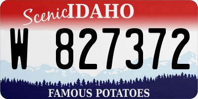 ID license plate W827372