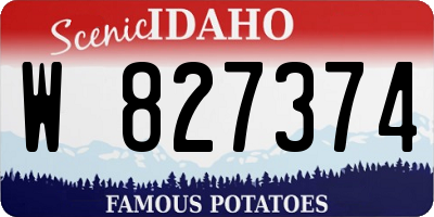 ID license plate W827374