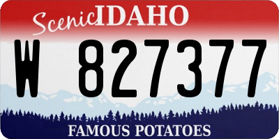 ID license plate W827377