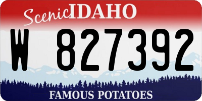 ID license plate W827392