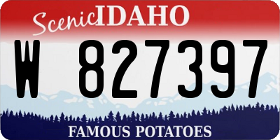 ID license plate W827397