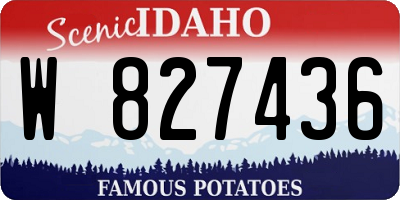 ID license plate W827436
