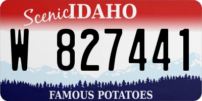 ID license plate W827441