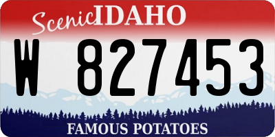 ID license plate W827453