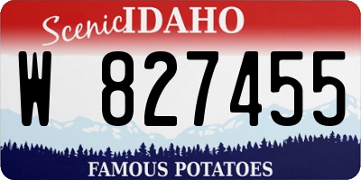 ID license plate W827455