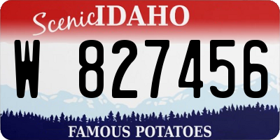 ID license plate W827456