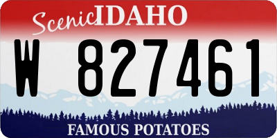 ID license plate W827461