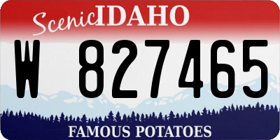 ID license plate W827465