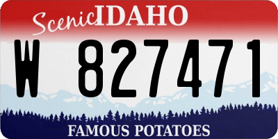 ID license plate W827471