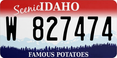 ID license plate W827474