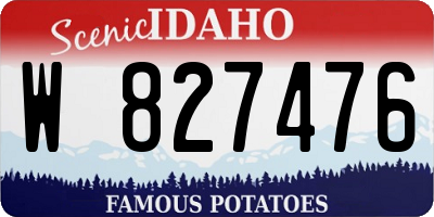 ID license plate W827476