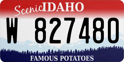 ID license plate W827480