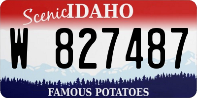 ID license plate W827487