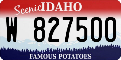 ID license plate W827500