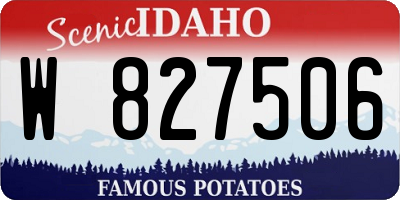 ID license plate W827506